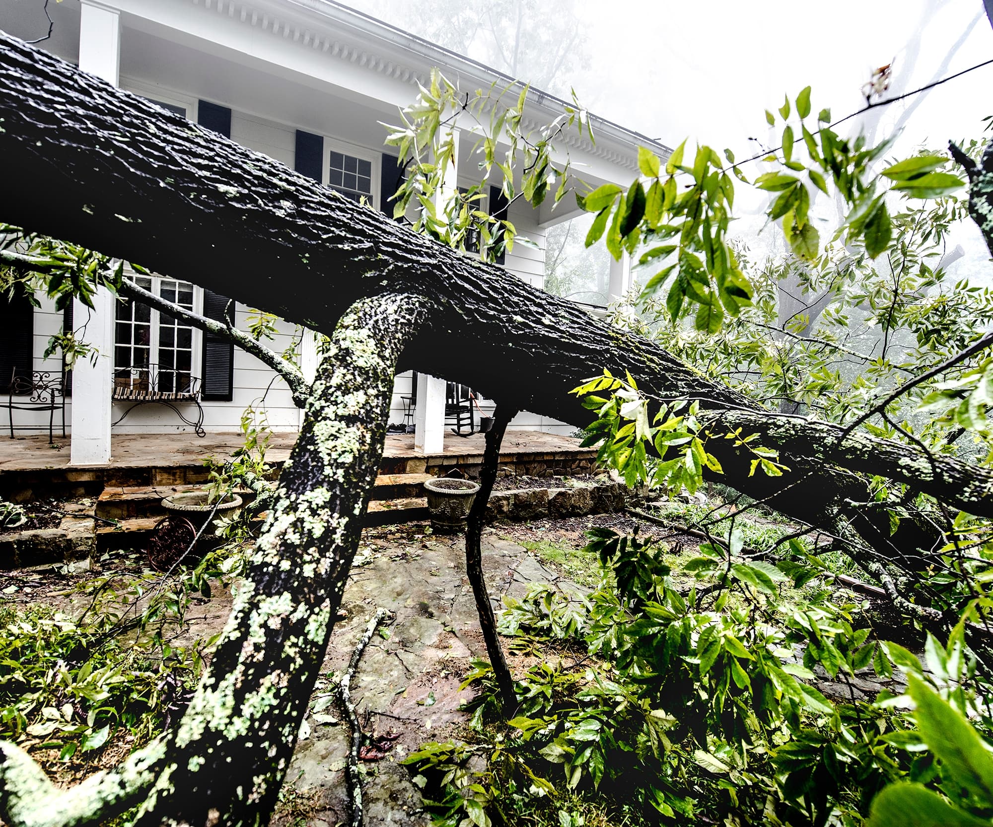 Storm Damage Repair and Restoration