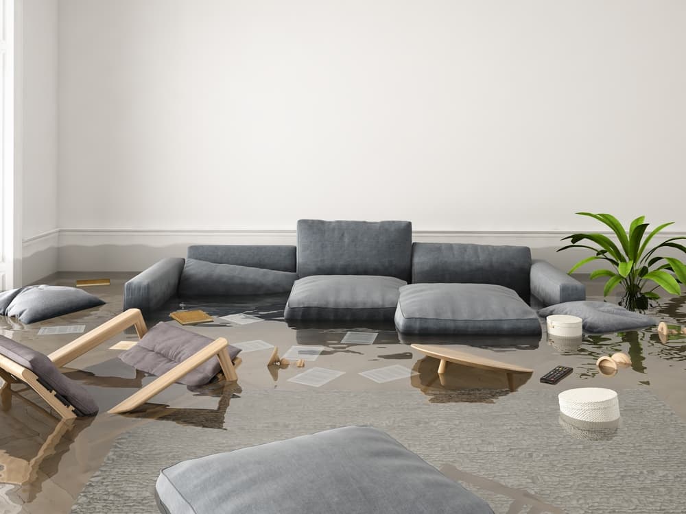 Wet belongings after water damage